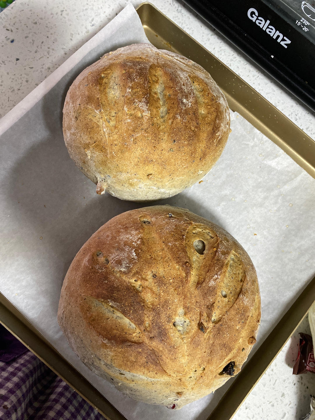 全麦蔓越莓核桃软欧包