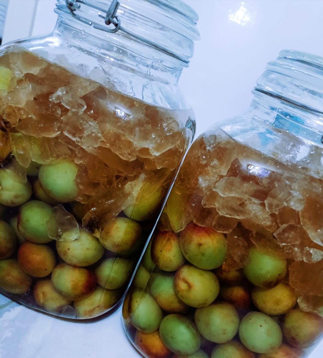 【青梅酒】梅子的沉醉时光（已填坑）