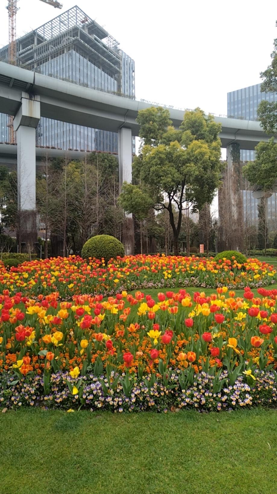 下厨房用户_q4a8c