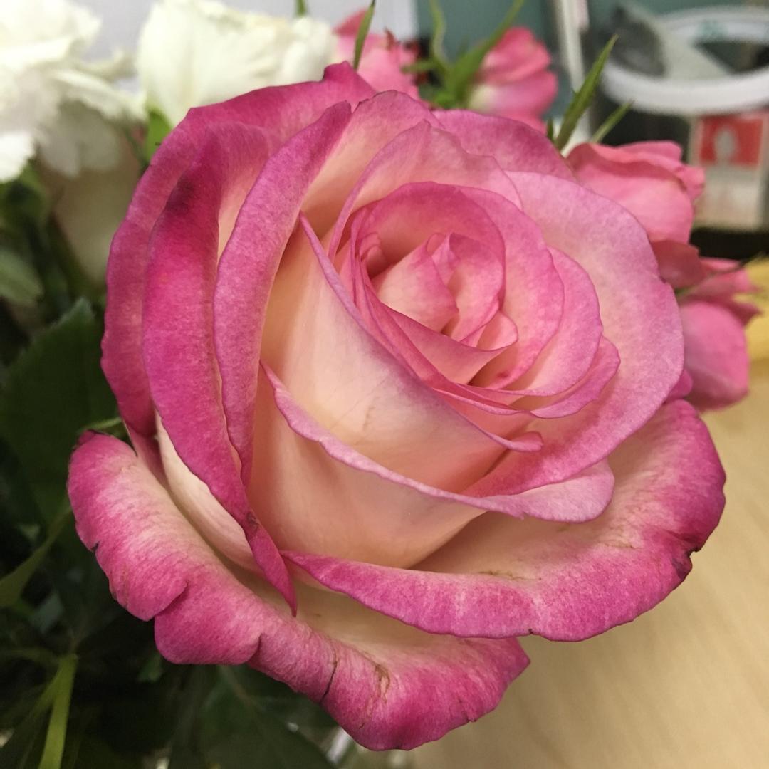 手机用户5099_kysb