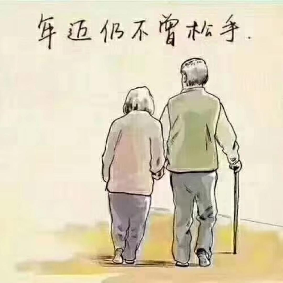 芊孜朦胧