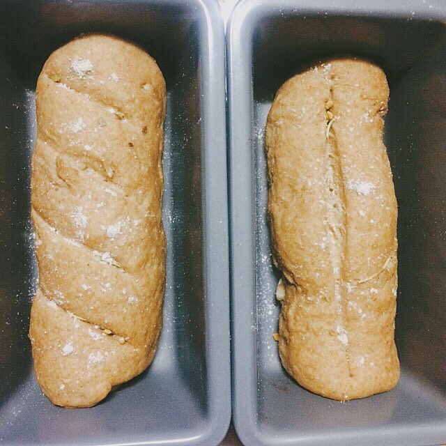 【Homemade Subway Loaf/Burger bun】100%全麦面包胚-DIY汉堡/潜艇堡三明治的做法 步骤2