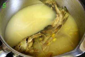 黄豆芽鲶鱼汤的做法 步骤5
