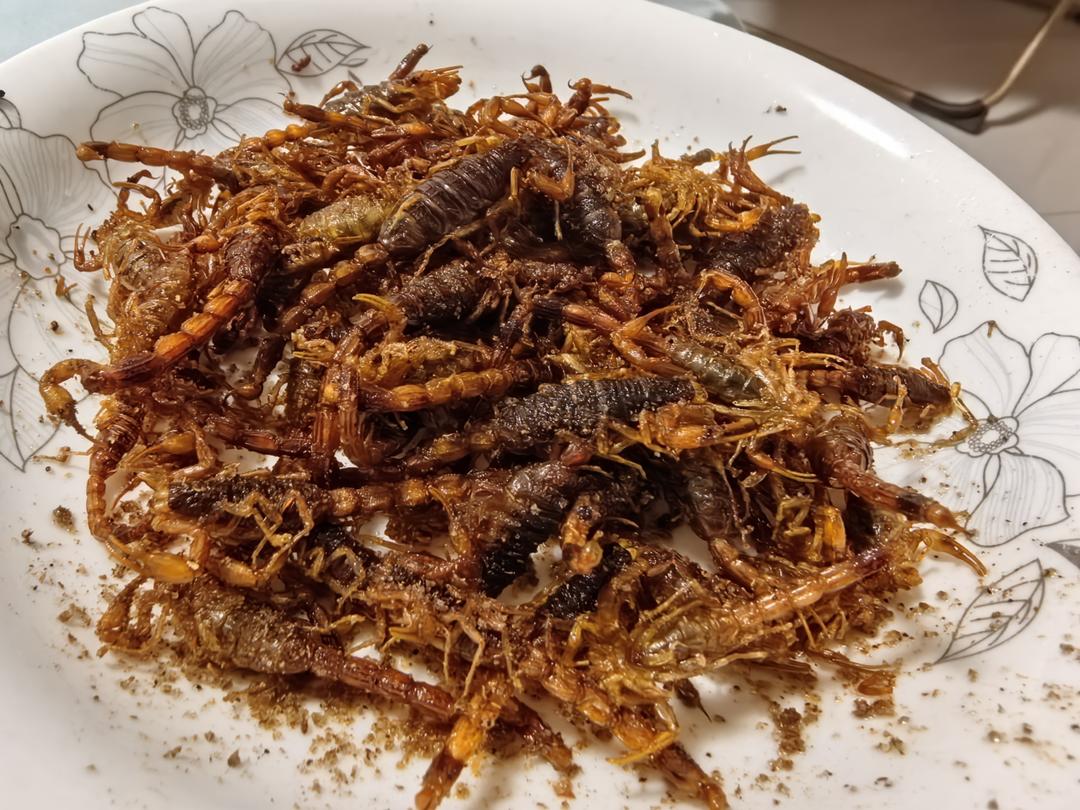 油炸活蝎子