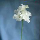 手机用户3461_gjlx