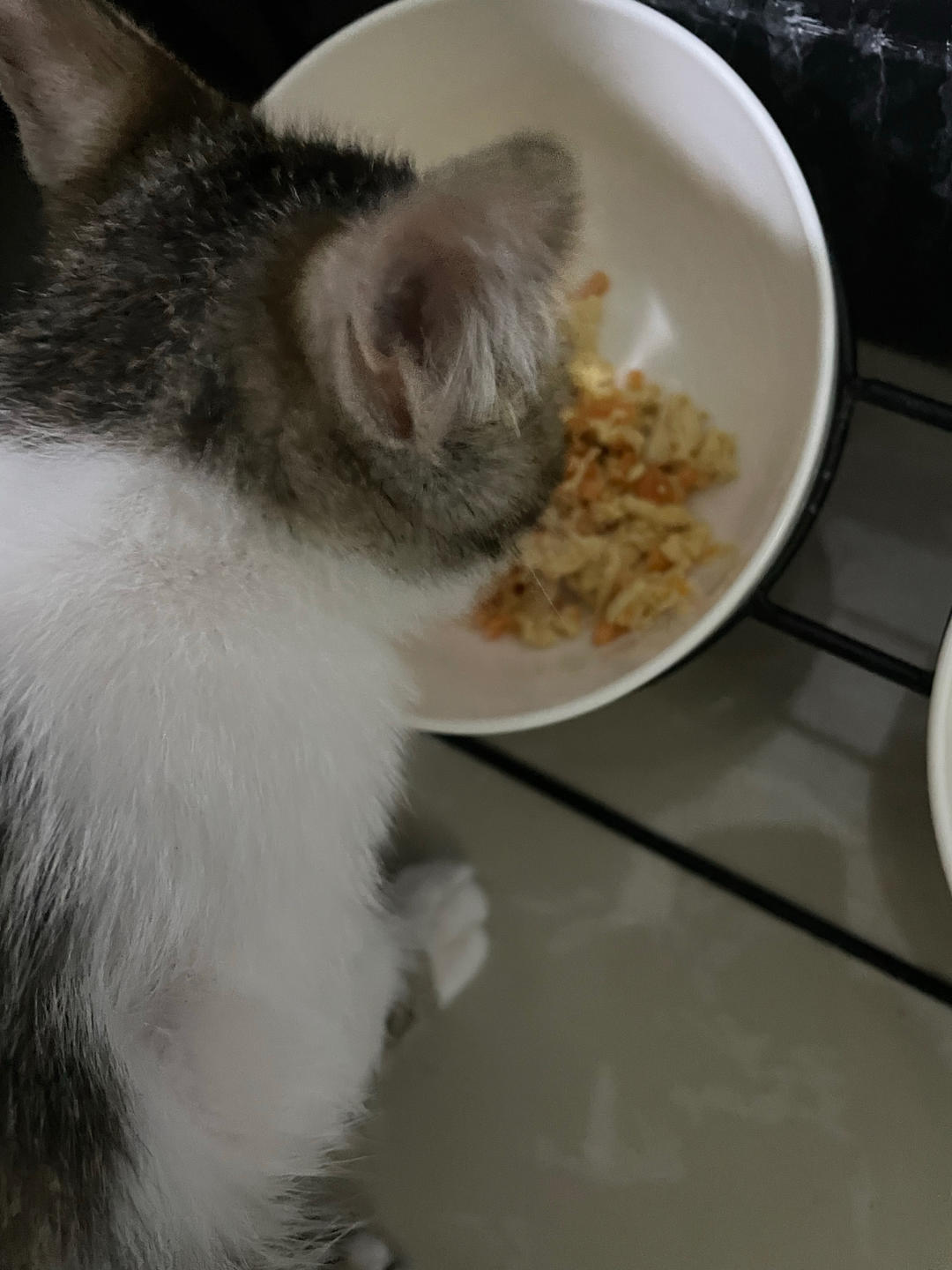猫饭！猫吃的饭！