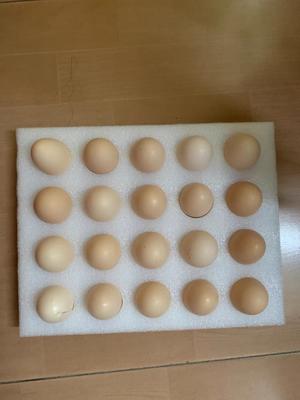 煮荷包蛋的做法 步骤1