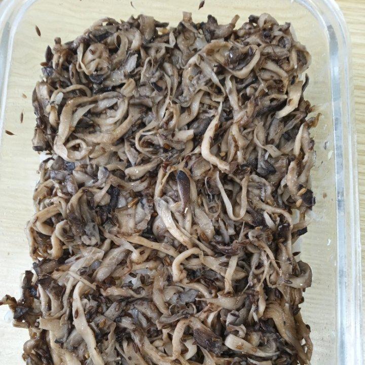 干煸平菇（有肉的味道）