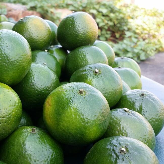 新会陈皮的做法