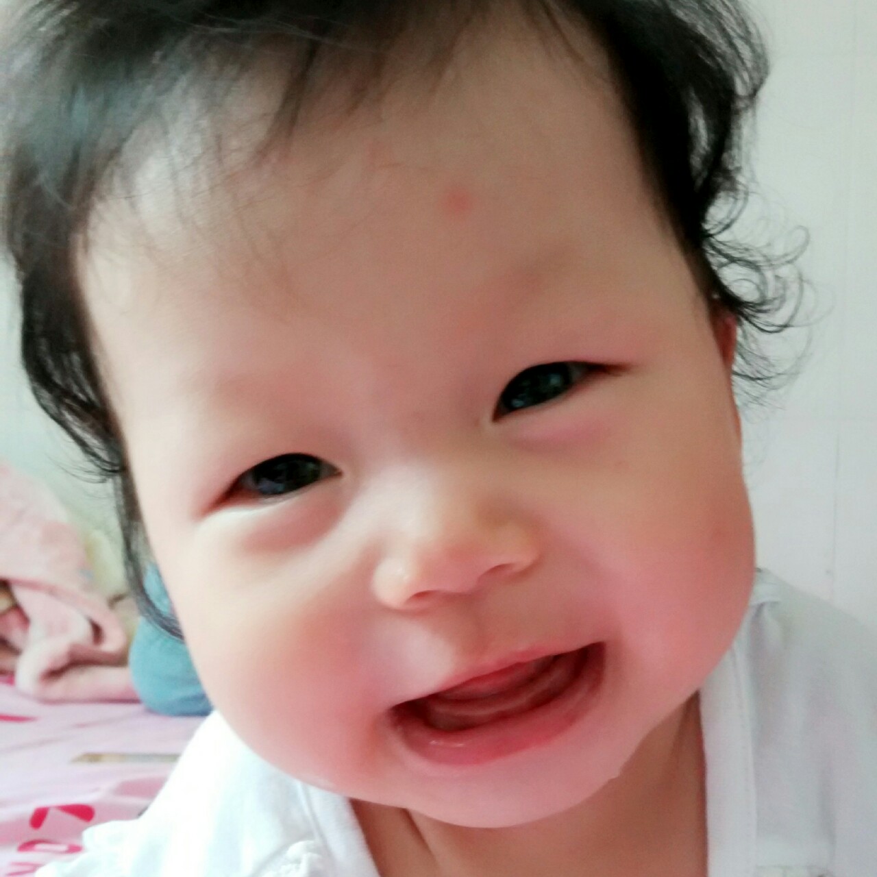 诺哥哈妹