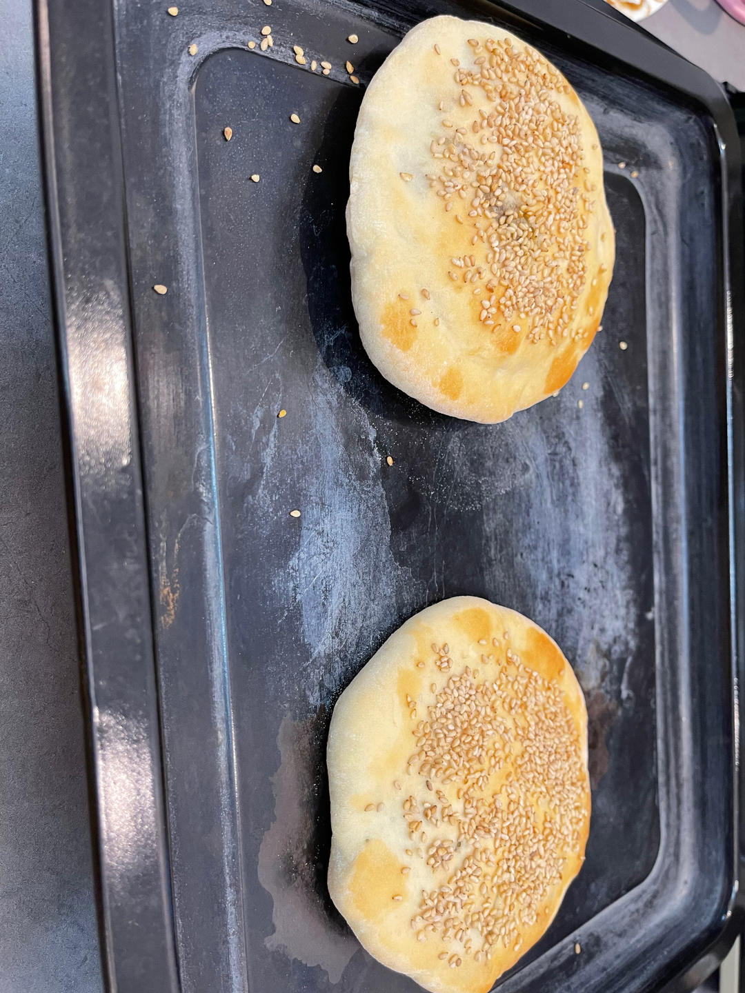 山东聊城吊炉烧饼（烤箱版）