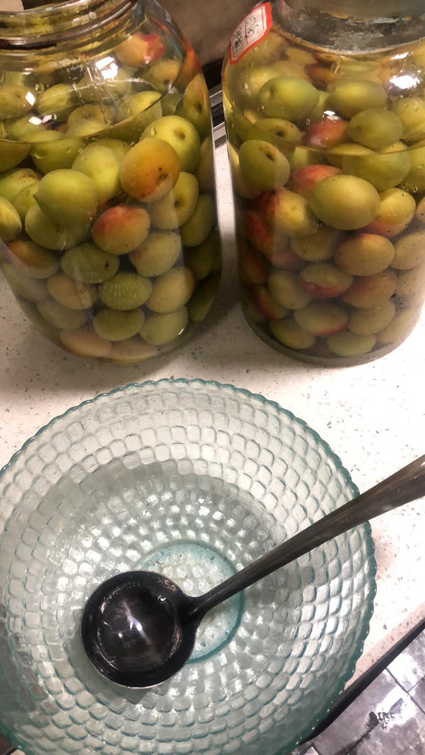 【青梅酒】梅子的沉醉时光（已填坑）
