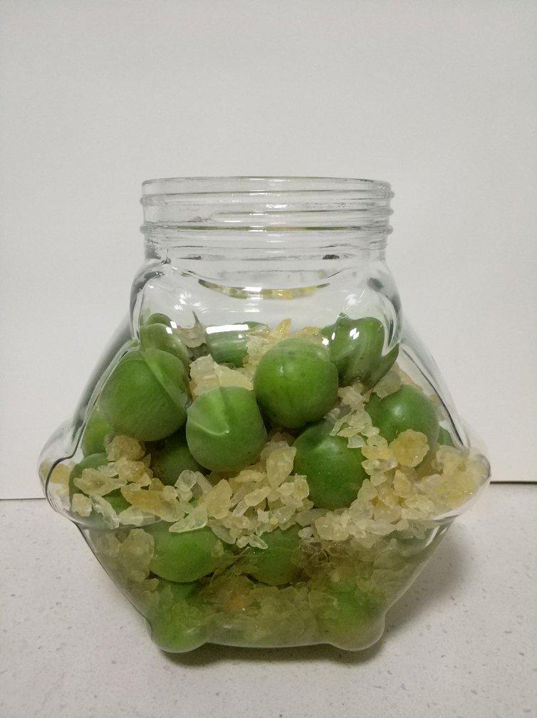 【青梅酒】梅子的沉醉时光（已填坑）