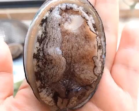 双肠版鲍鱼煲仔饭