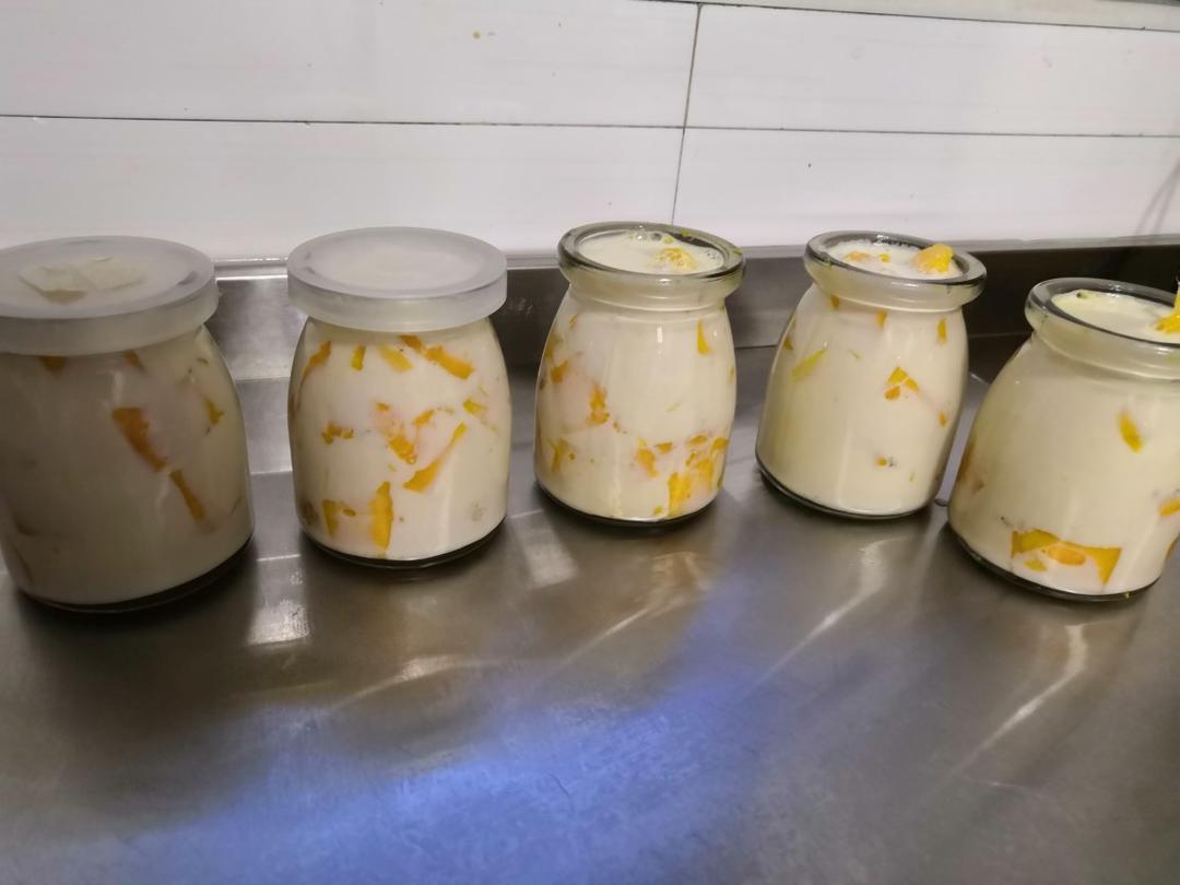 芒果牛奶布丁