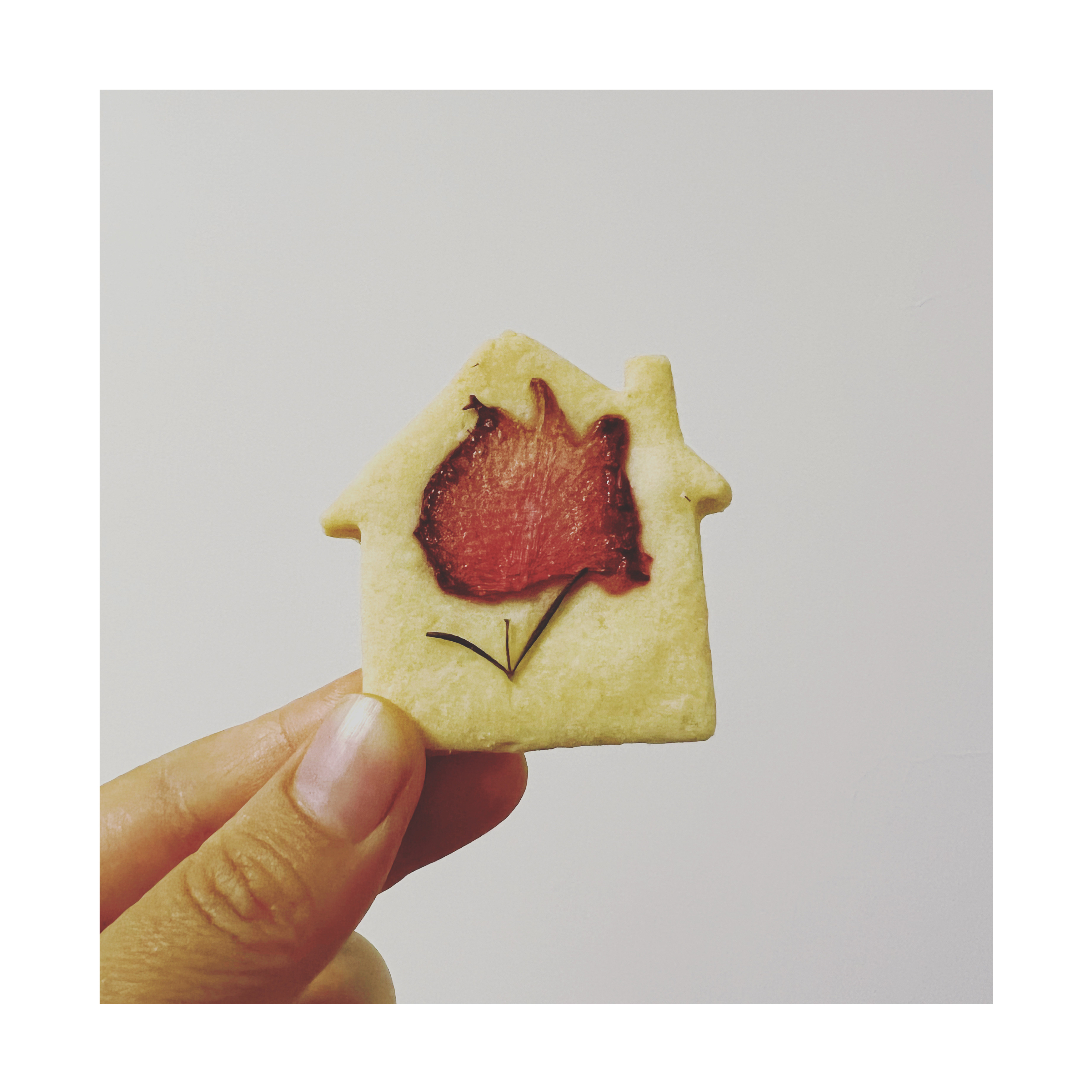 郁金香🌷黄油饼干