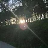 不想外食的情节