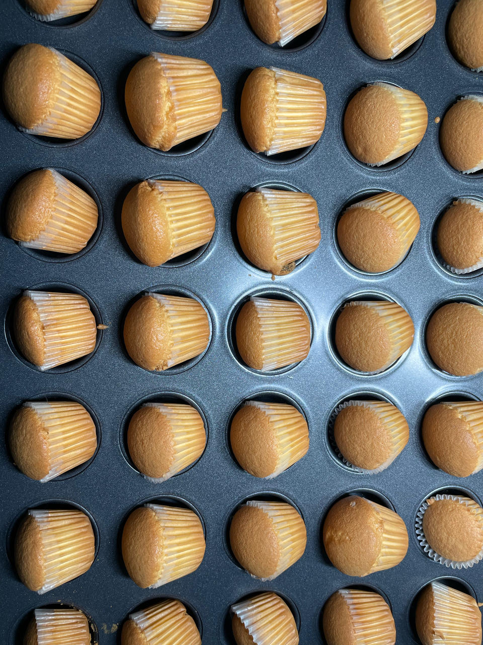 视频👶一口一个｜超可爱｜原味｜mini宝宝小蛋糕｜48连24连通用