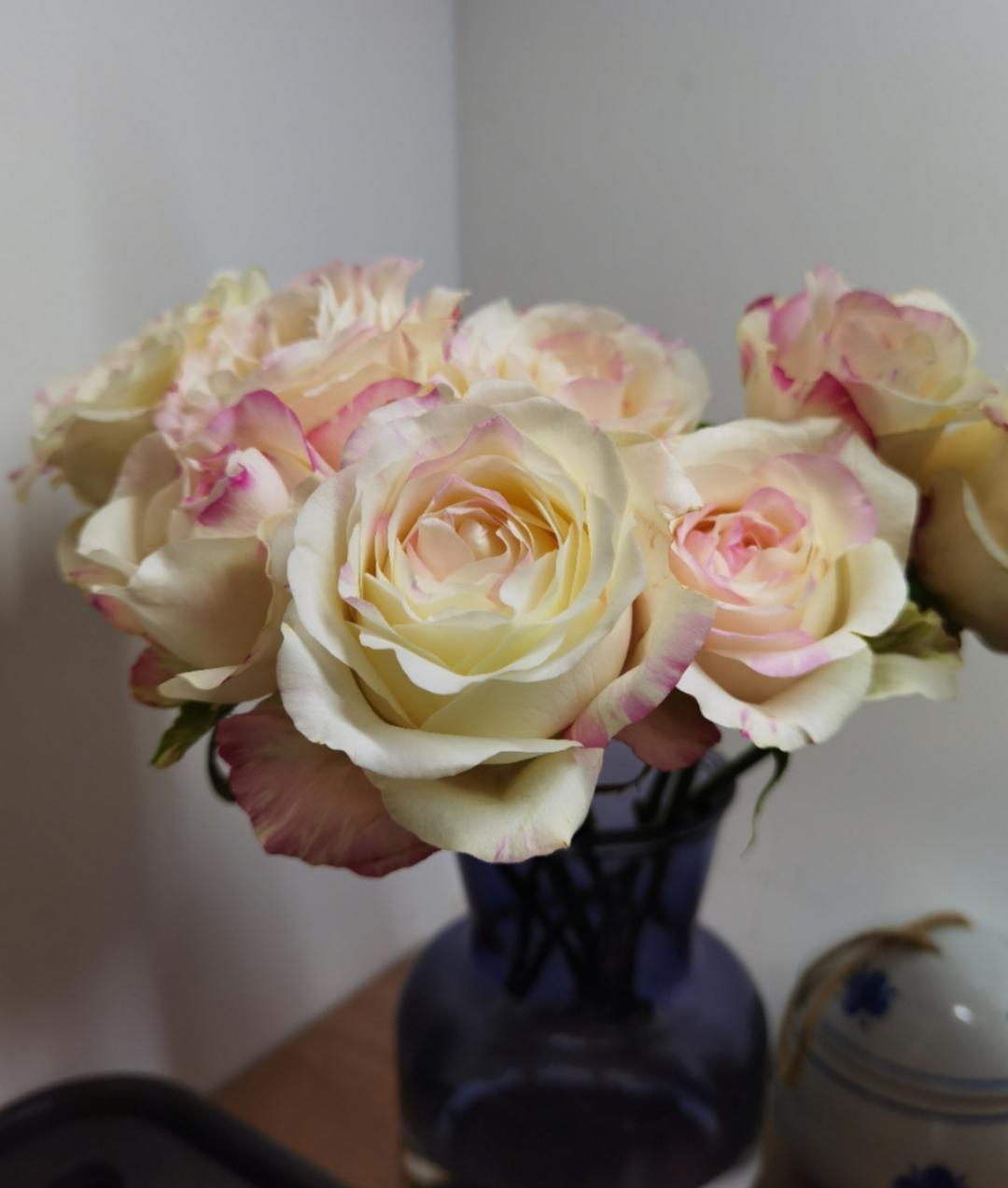 碳水脑袋要减脂