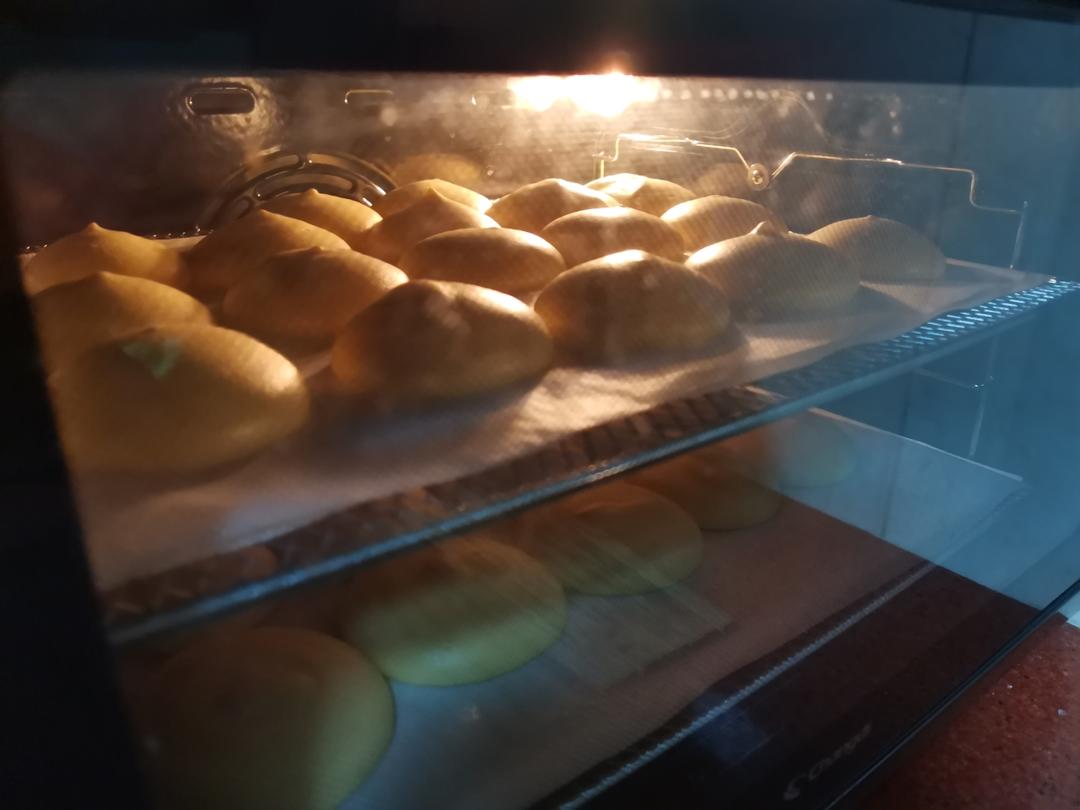 胖嘟嘟圆滚滚咬一口可以回弹的肉松小贝
