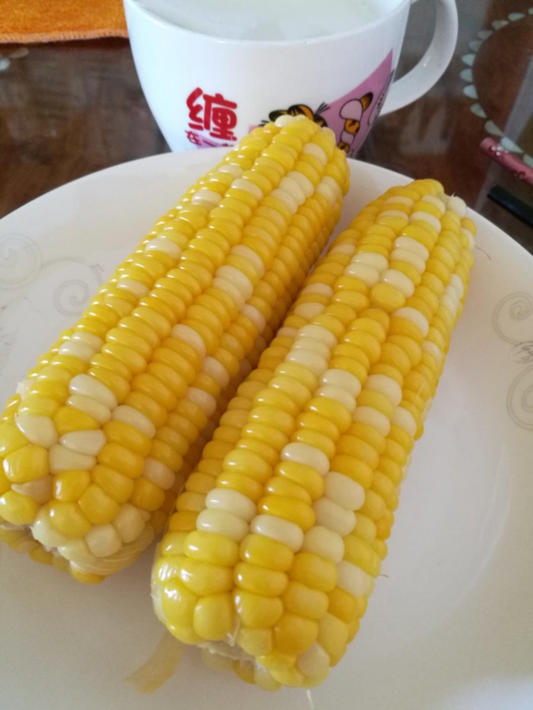 记录：营养早餐