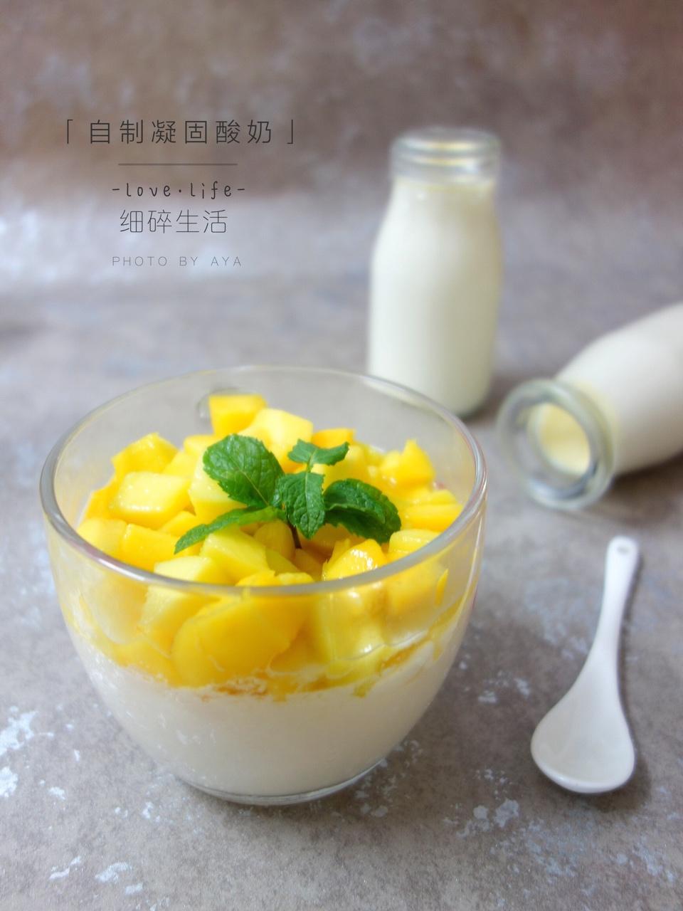 自制凝固型酸奶