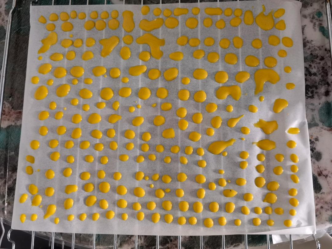 狗狗零食蛋黄羊奶溶豆