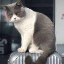 手机用户3980_pm0j