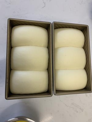 最好吃的牛奶吐司妃娟的100%中种北海道牛奶吐司奶油吐司的做法 步骤19