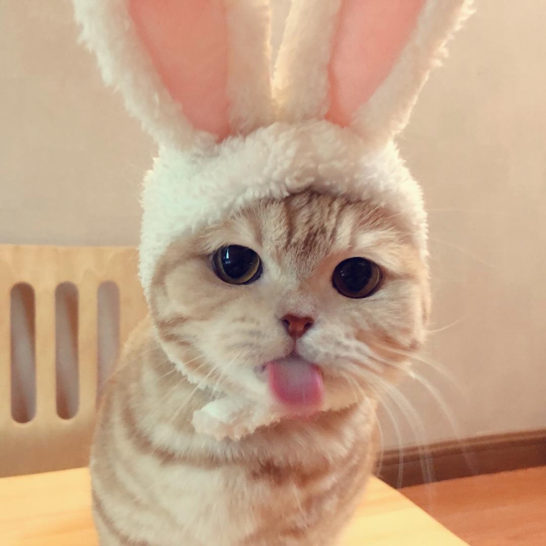 啊啊啊冷啊