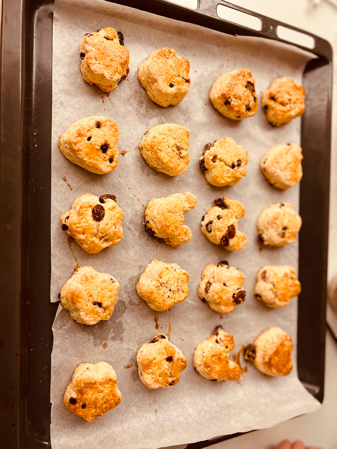 完胜星巴克的超美味酥脆司康 super easy crunched scone