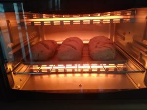 核桃红枣全麦面包（无糖无油）的做法 步骤5