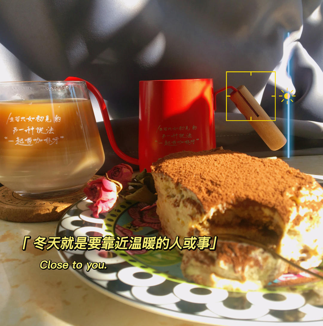 在欧洲学会的经典版提拉米苏