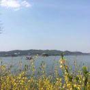 手机用户0989_bsqh