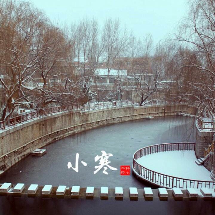 妙妙兔儿