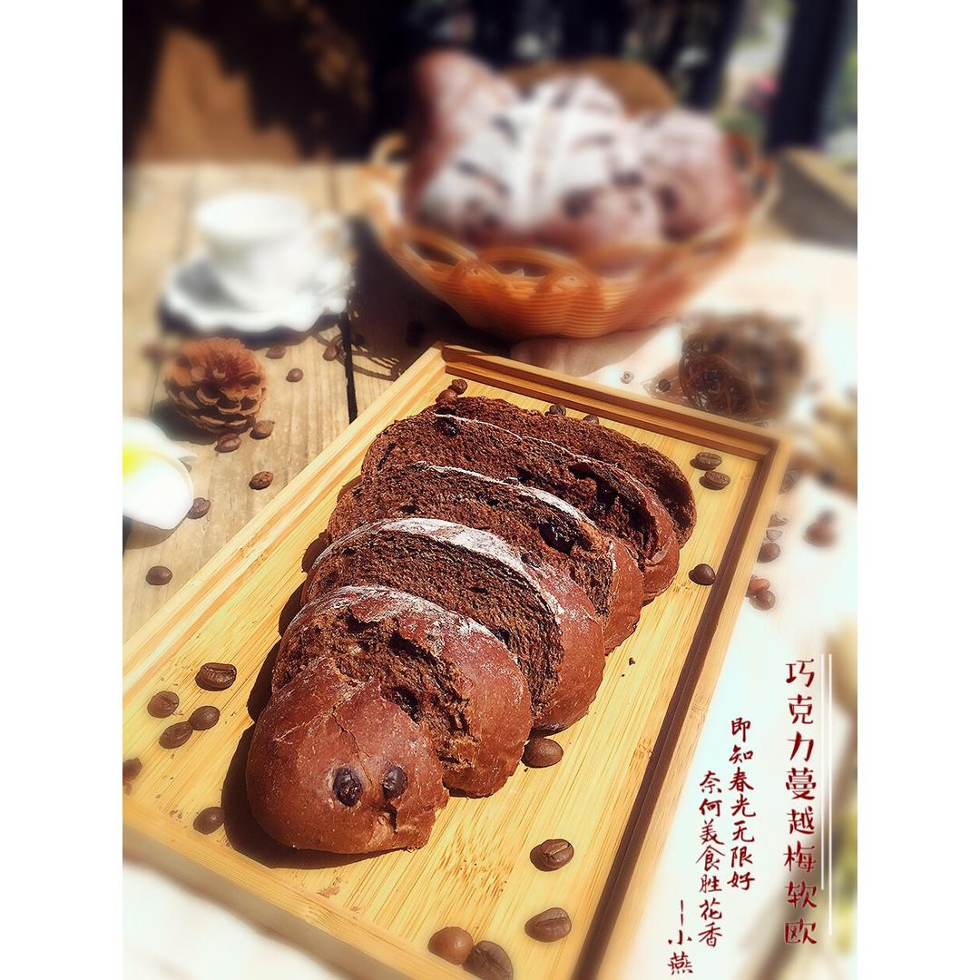 巧克力蔓越莓软欧