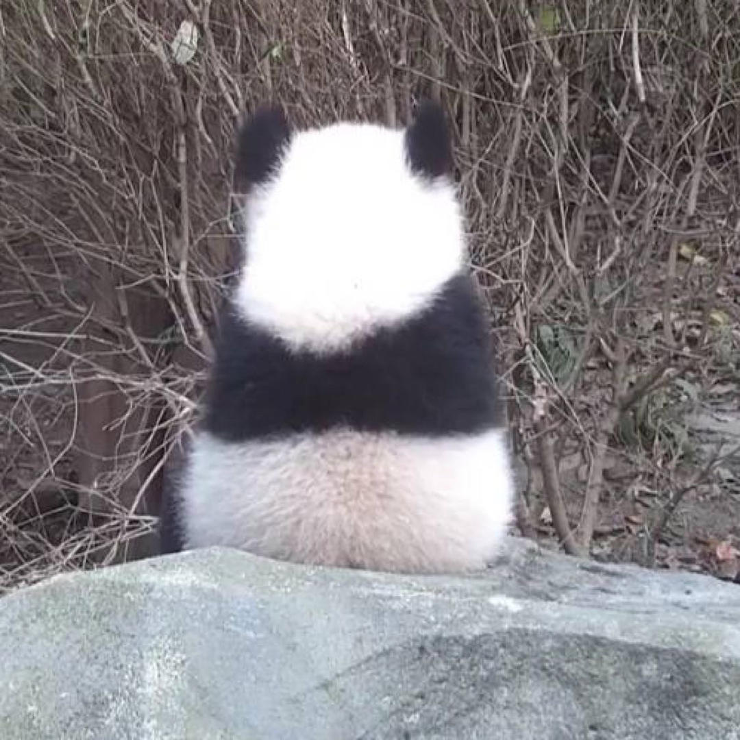 一个桃心一个点