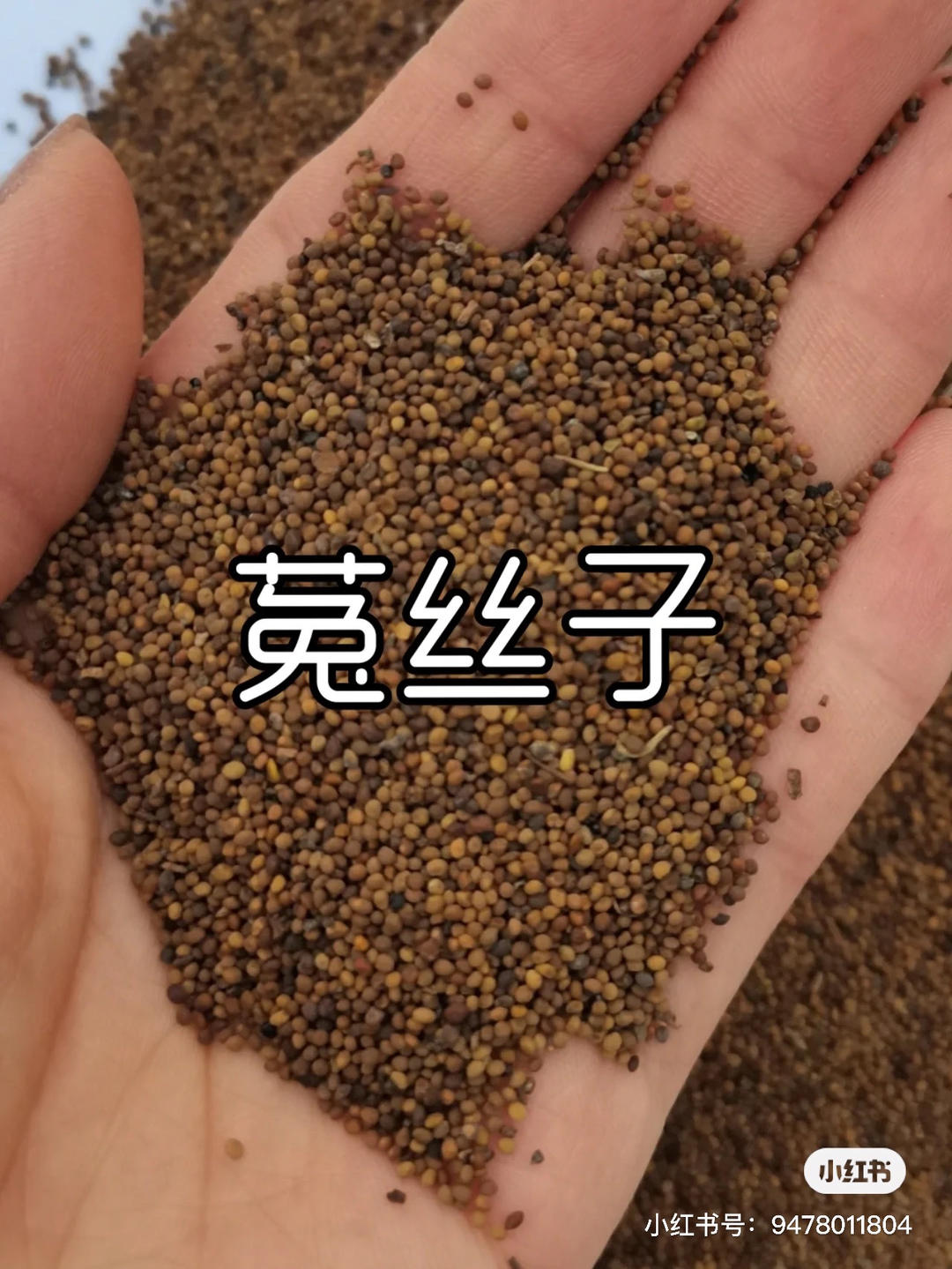 18味药材～珠海的做法 步骤28