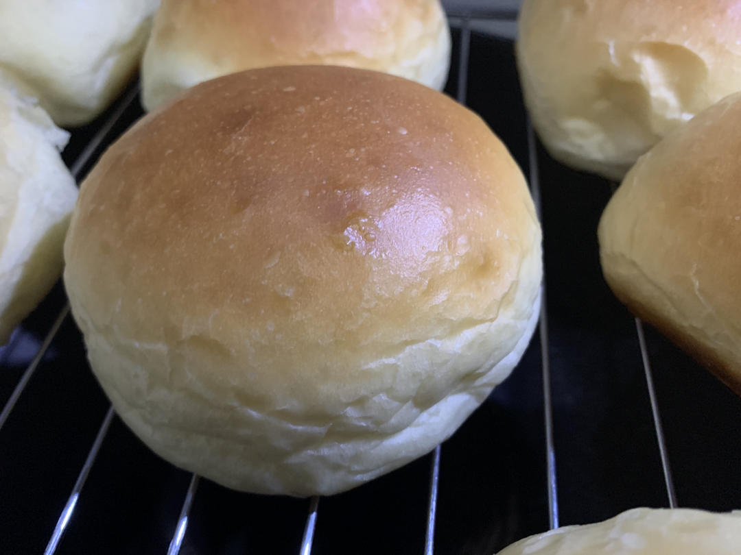 汉堡胚 poolish（波兰种）