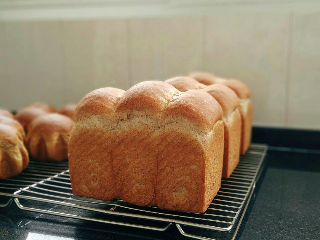 波兰种黑麦吐司