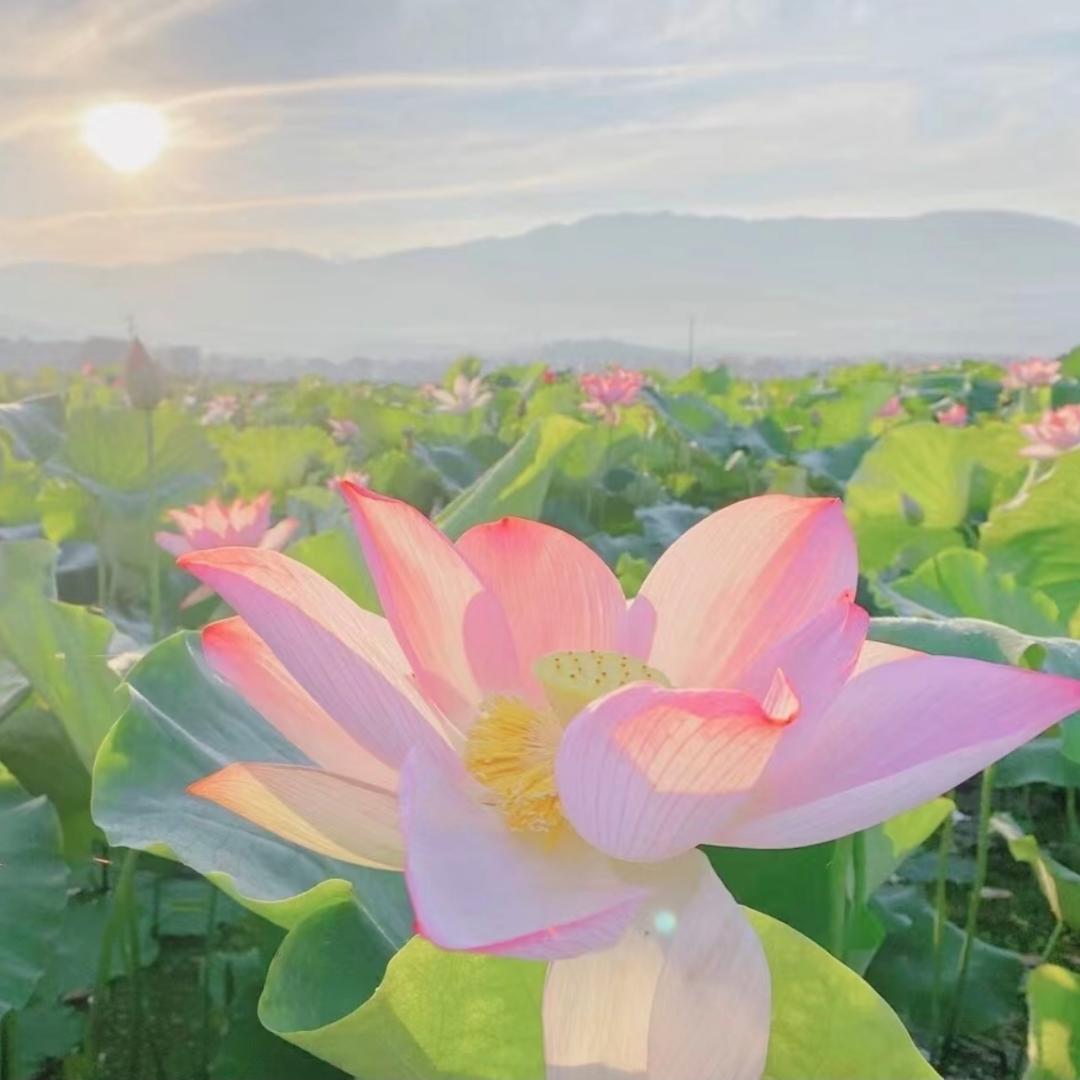 奇葩葩的小生活