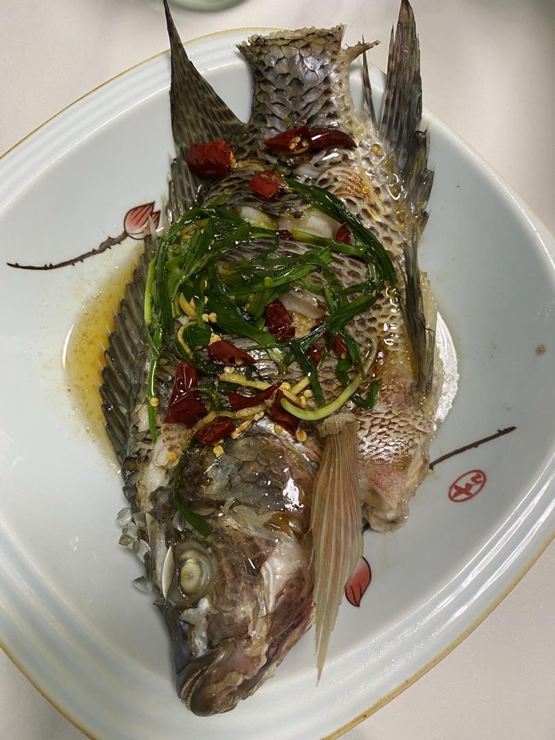清蒸多宝鱼（黄鱼、鲈鱼、桂鱼……）