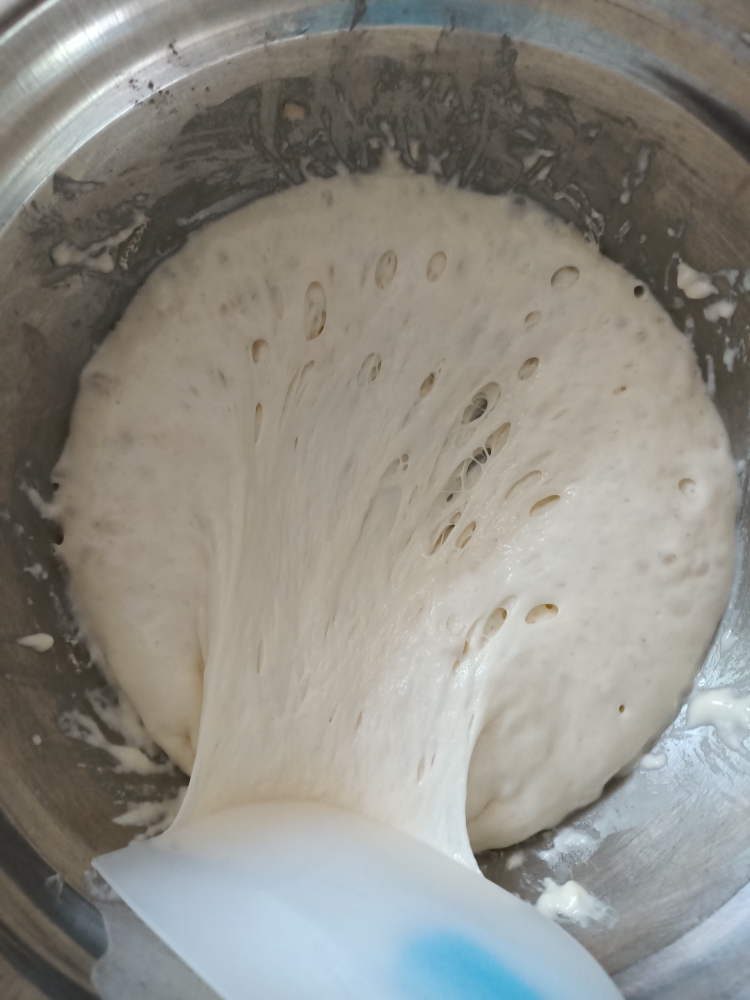波兰种吐司面包🍞一次发酵的做法 步骤2
