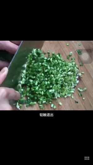 萝卜韭菜肉饺子的做法 步骤11