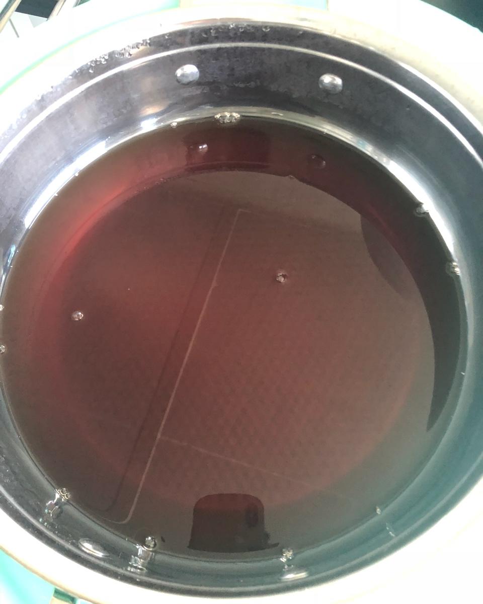 酸梅汤（同仁堂配方）