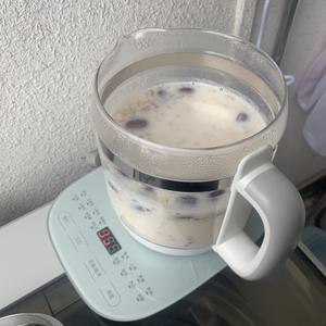 桃胶皂角米雪耳红枣枸杞牛奶的做法 步骤5