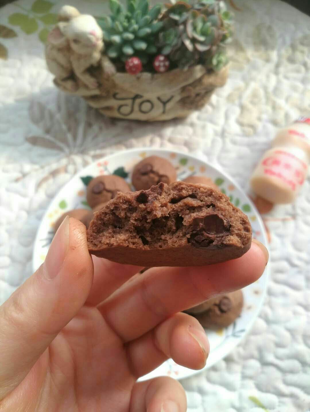 巧克力豆曲奇饼干的做法