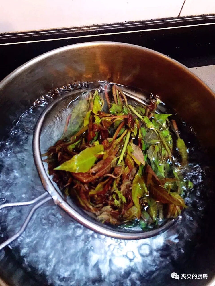 【樉樉的小厨房】香椿拌豆腐的做法 步骤4