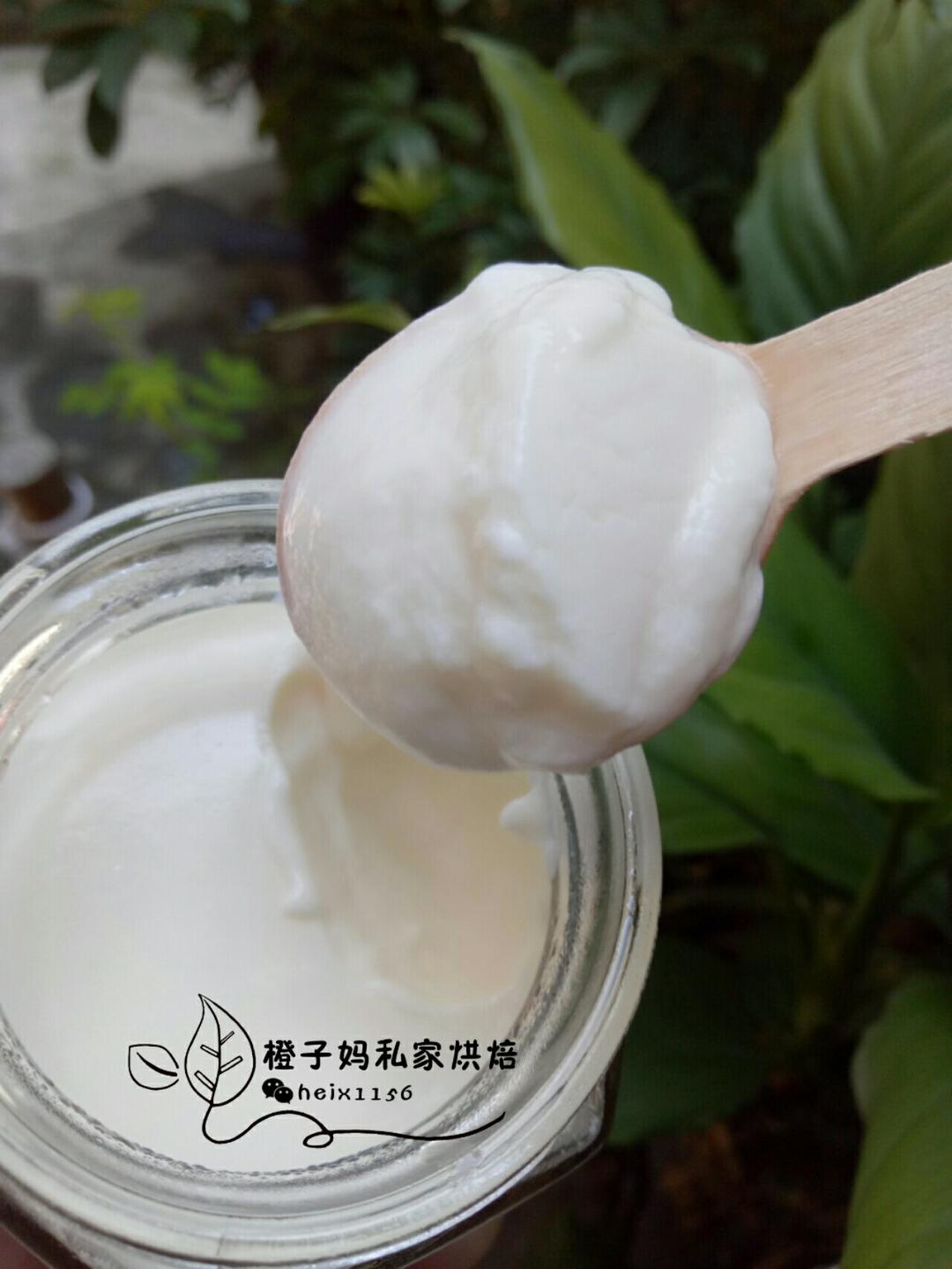 无需酸奶机的自制酸奶