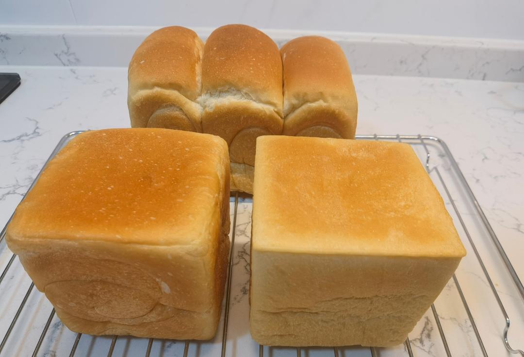 基础吐司，无蛋无奶（自己看的）